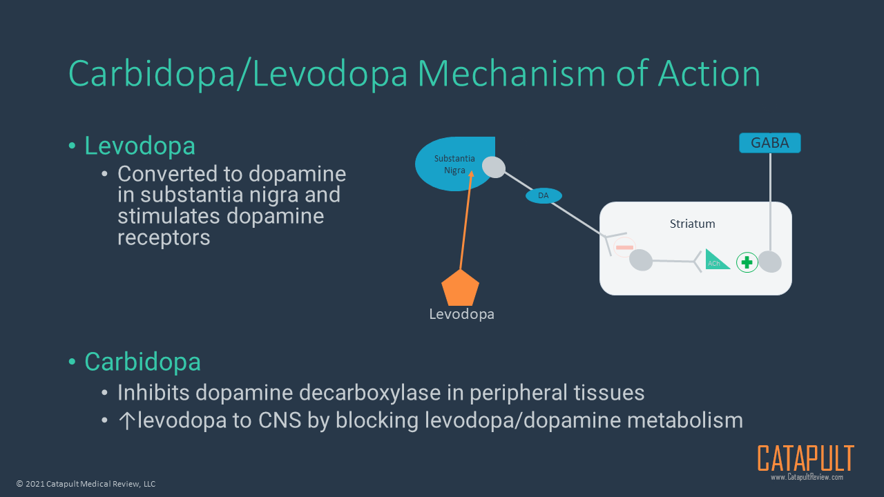 Carbidopa/Levodopa