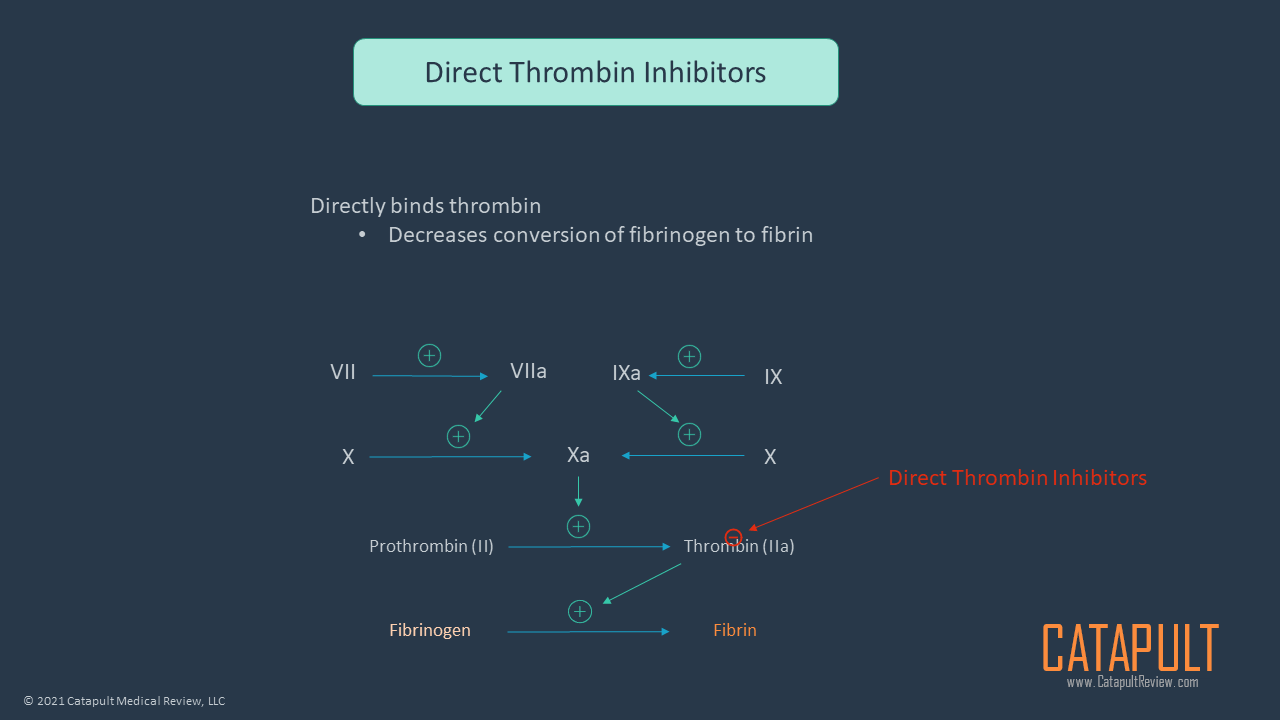 Oral Direct Thrombin Inhibitors