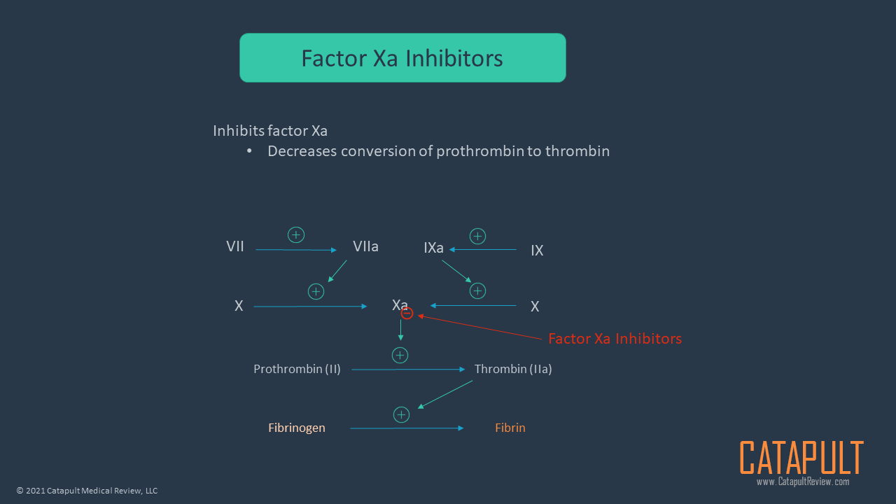 Factor Xa Inhibitors