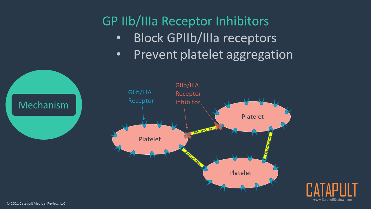 Glycoprotein IIB/IIIA Receptor Inhibitors