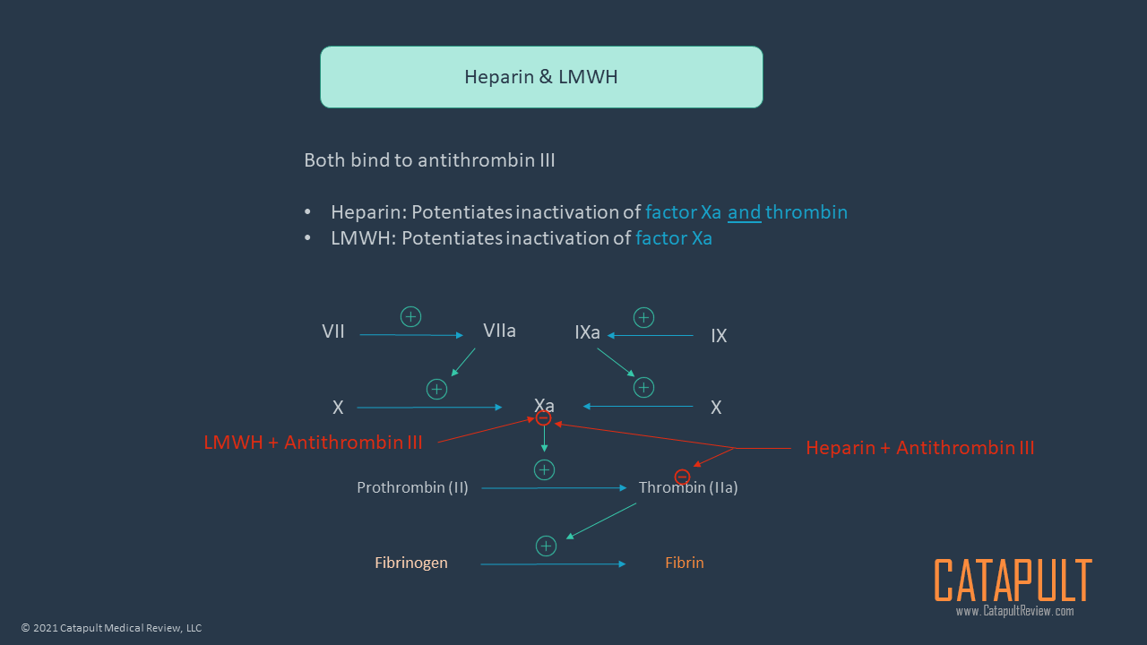Heparin & Low Molecular Weight Heparins