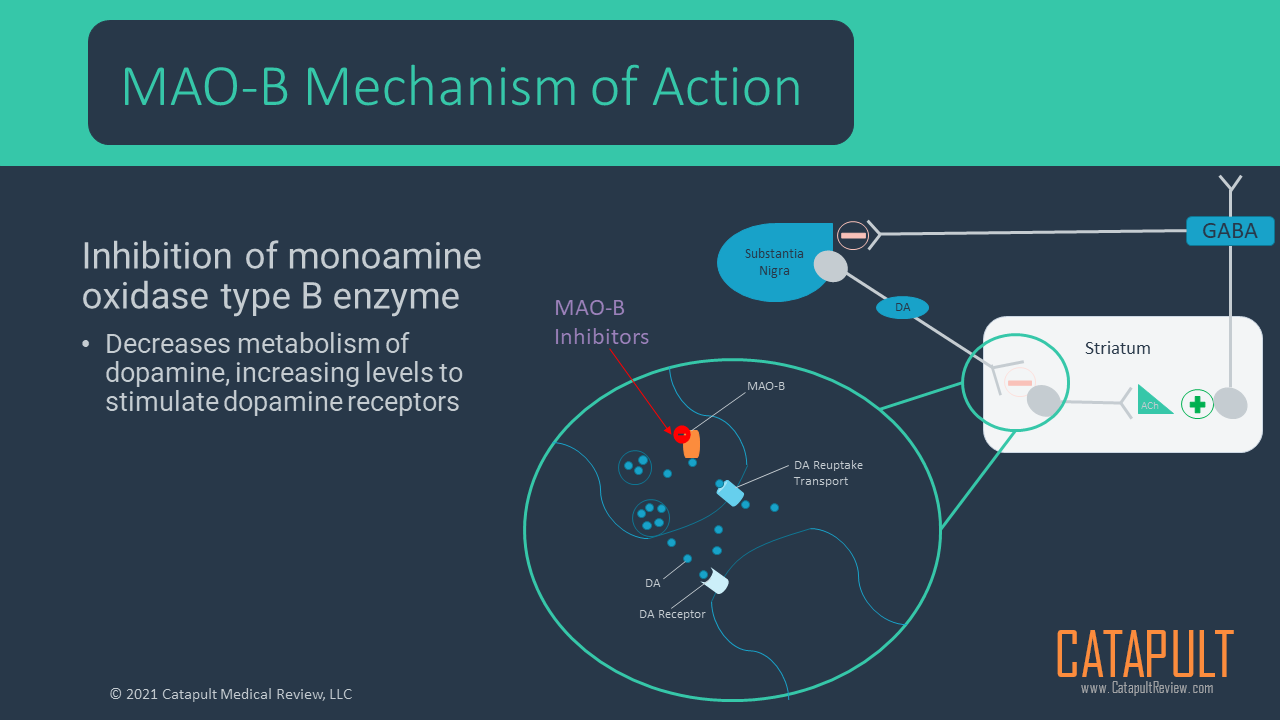 MAO Type B Inhibitors