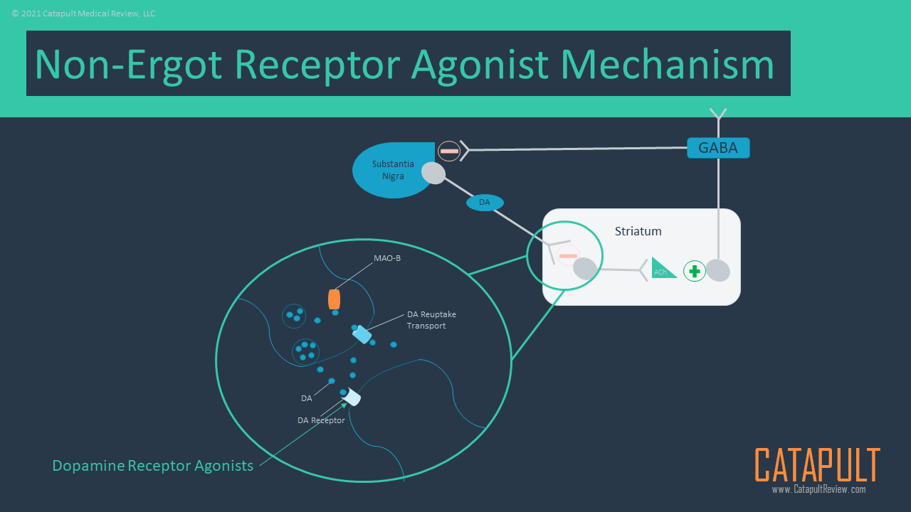 Non-Ergot Dopamine Receptor Agonists