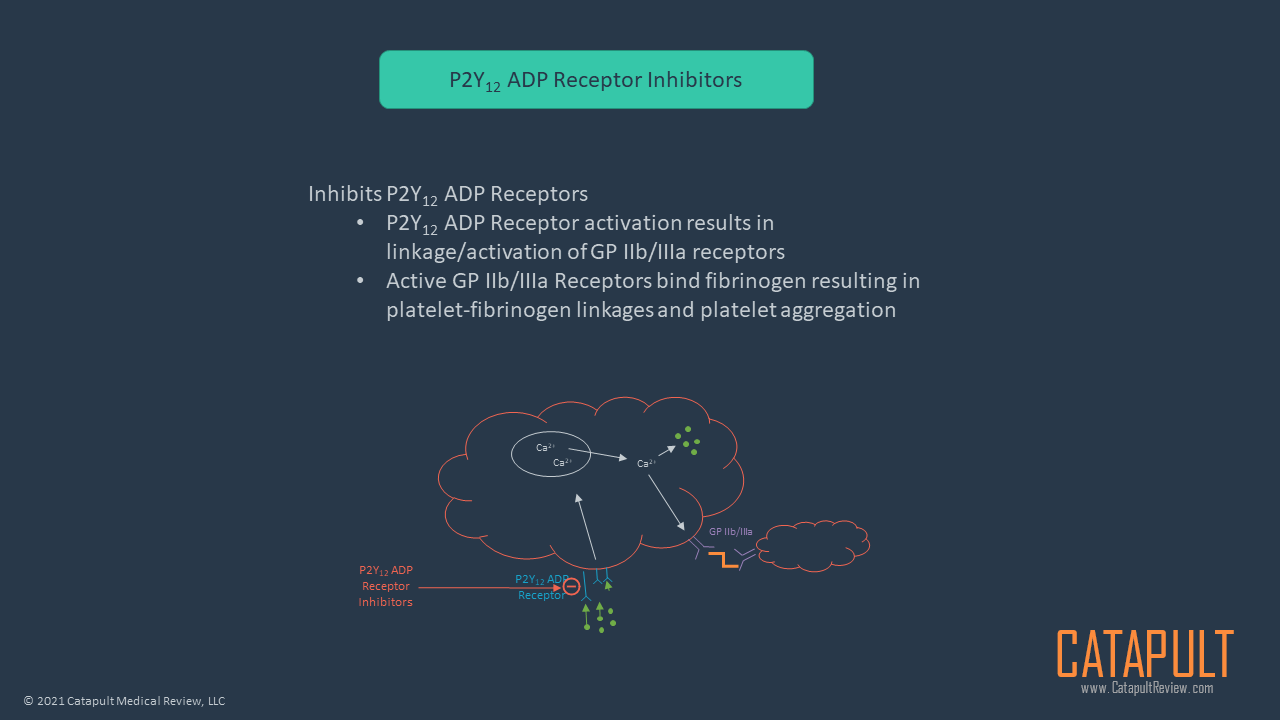 P2Y12 ADP Receptor Inhibitors
