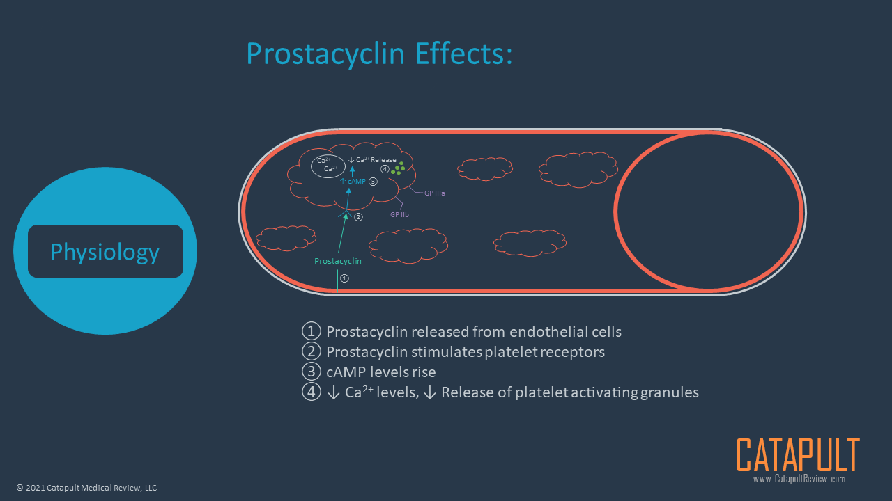 Coagulation Primer