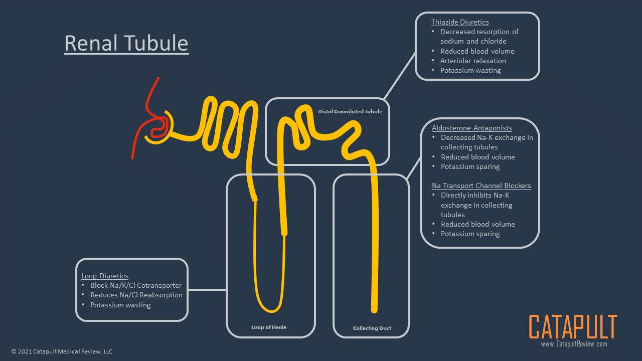 Loop Diuretics